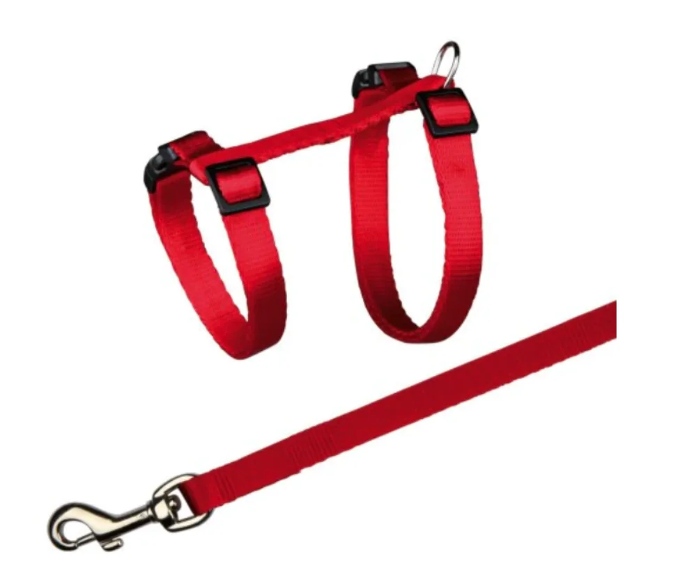 Ilustrație pentru Cel mai bun ham pisică