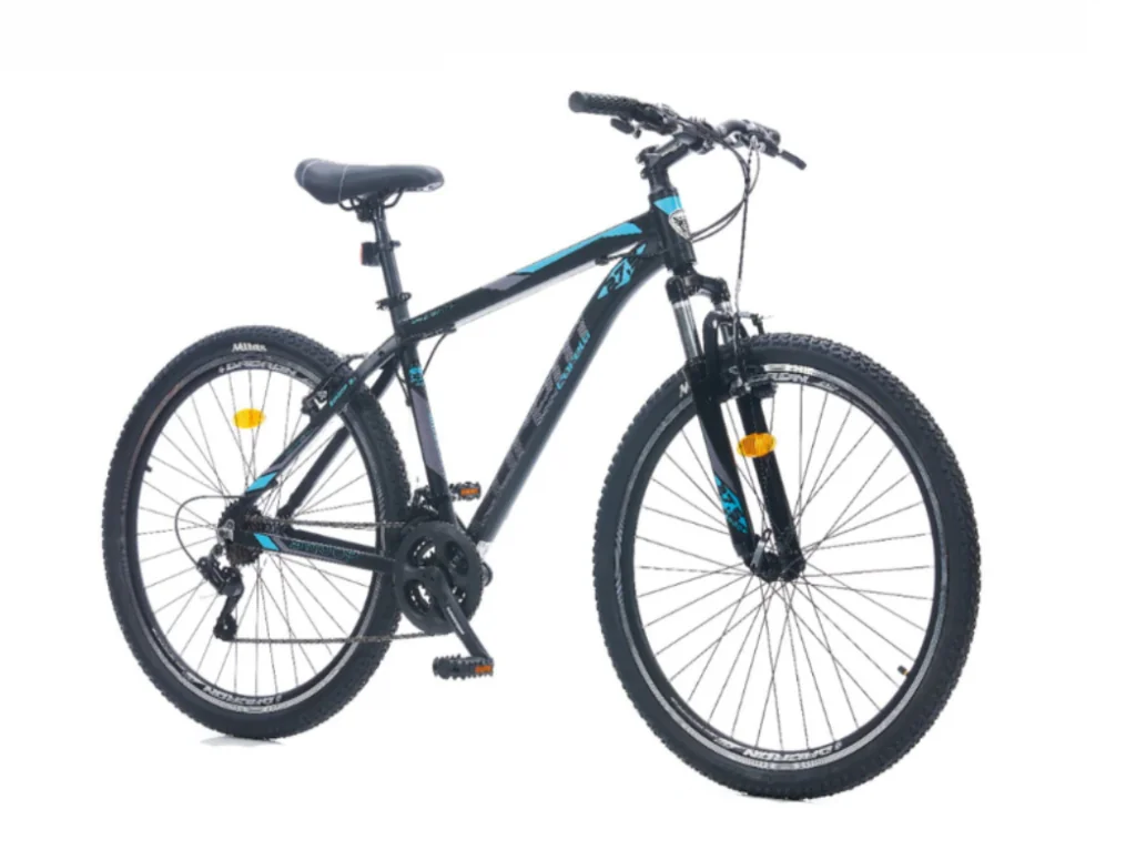 Ilustrație pentru Cea mai bună bicicletă