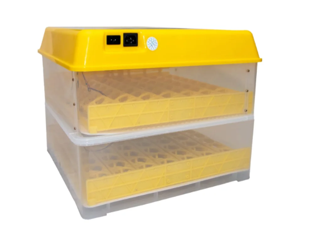 Ilustrație pentru Cea mai bună clocitoare